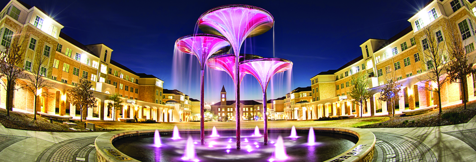 Section Image: TCU Frog Fountain 