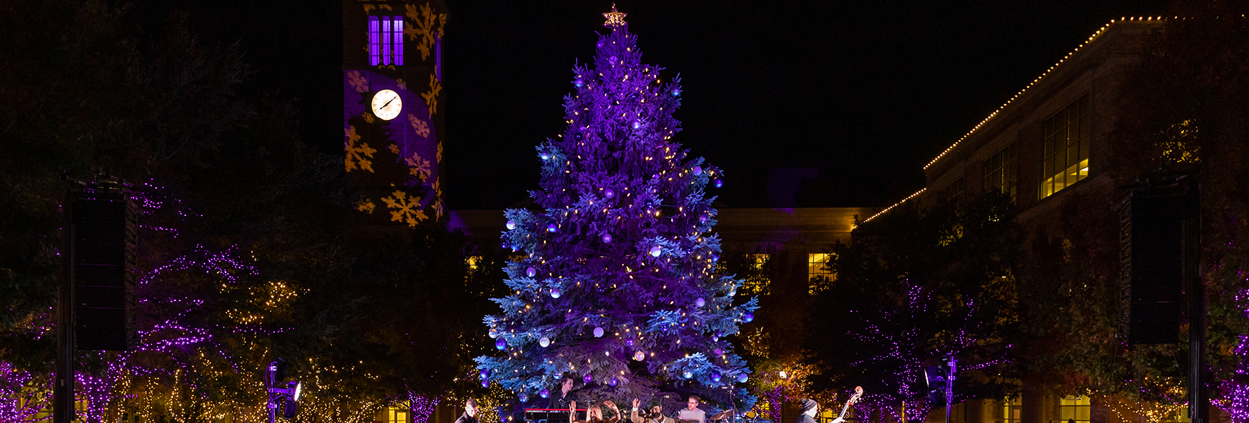 Section Image: Purple TCU Christmas tree during the annual tree lighting. 