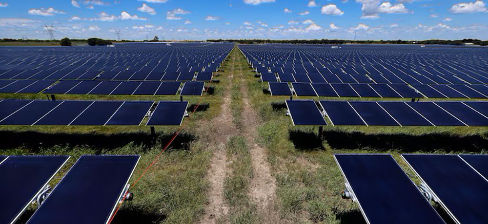 Orsted’s Mockingbird Solar Center solar panels