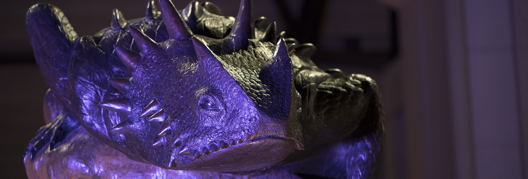 Section Image: Horned Frog statue 