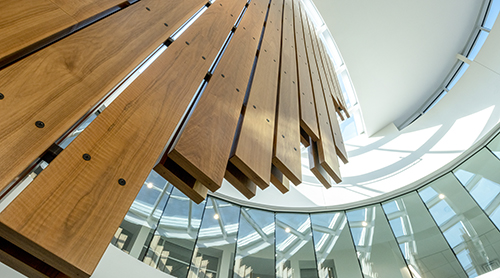 Frog Fountain at night