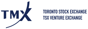 Toronto Stock Exchange Logo