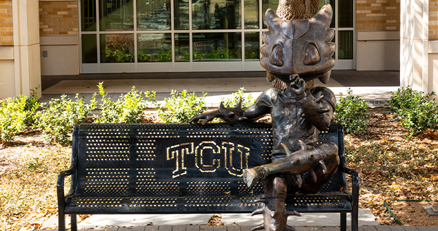 TCU Superfrog bench