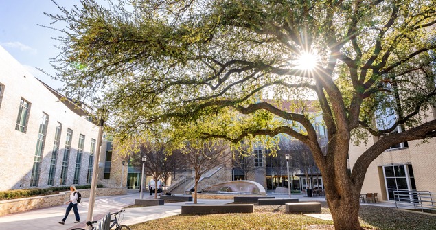 TCU Neeley School of Business buildings and TCU tree