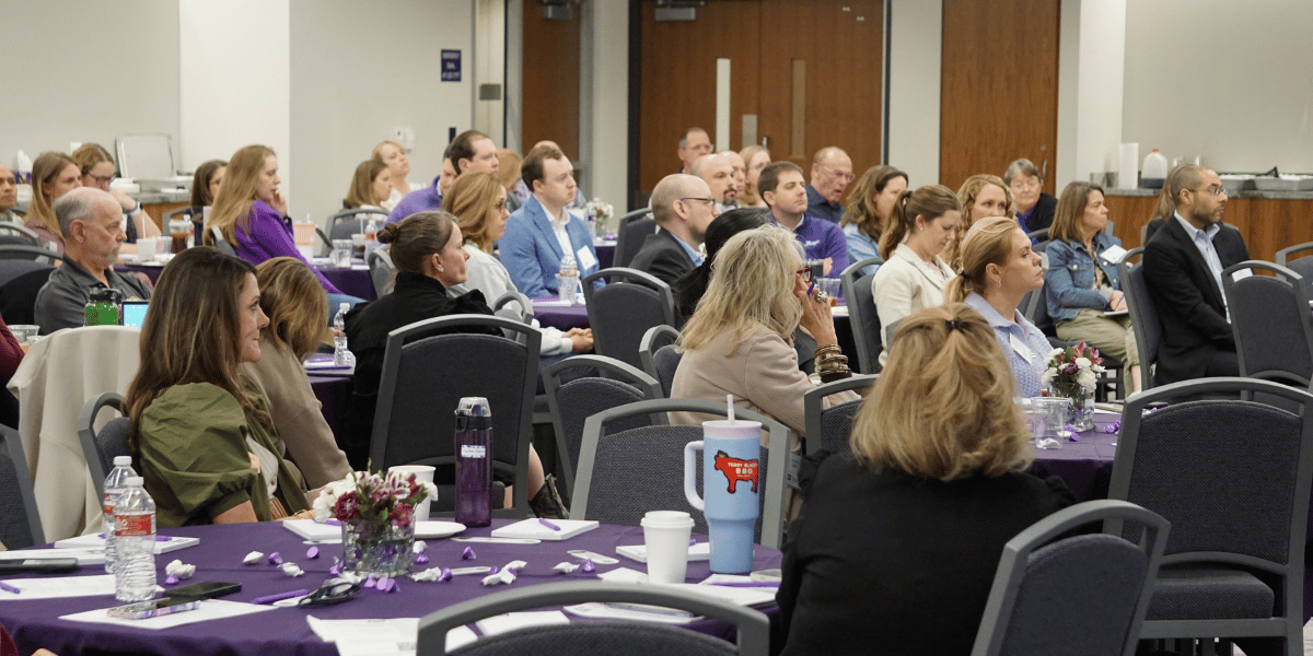 Alumni, faculty and accounting professionals participate in the annual CPE training offered by the Accounting Department in the Neeley School of Business. 