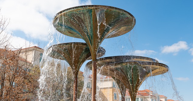 TCU frog fountain
